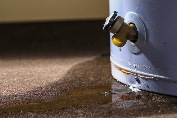 Water damage restoration experts in Pine Hill, NJ