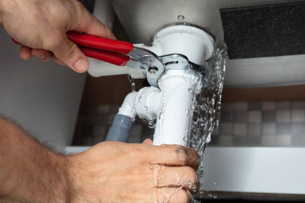 Best Local water damage restoration  in Pine Hill, NJ