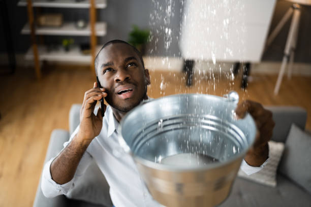 Best Flooded house restoration  in Pine Hill, NJ