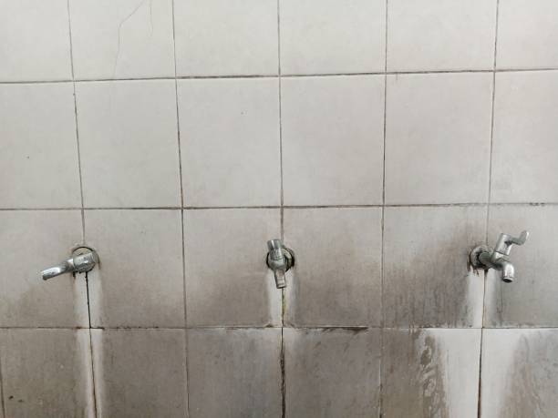 Best 24-hour water damage restoration  in Pine Hill, NJ