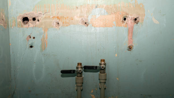 Best Water damage restoration near me  in Pine Hill, NJ