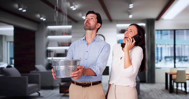 Best Water damage restoration near me  in Pine Hill, NJ